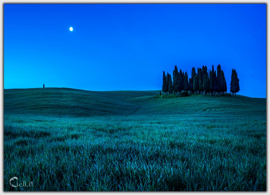 Sera con cielo azzuro, luna luminosa, colline brune e immobili cipressi Sera con cielo azzuro, luna luminosa, colline brune e immobili cipressi