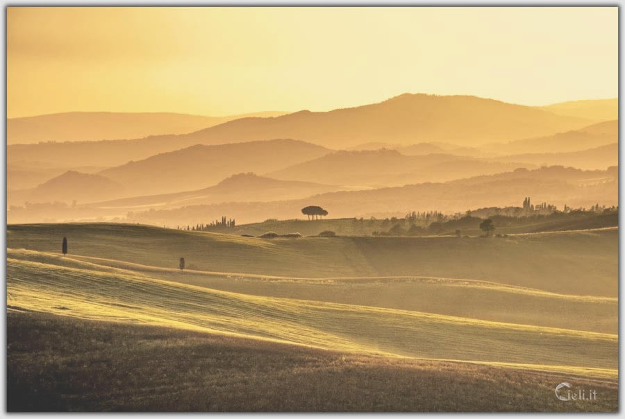 Serata dorata piena di bellezza con tramonto giallo, colline e piante scure. Sensazioni e spazio immersi nella pace della sera.