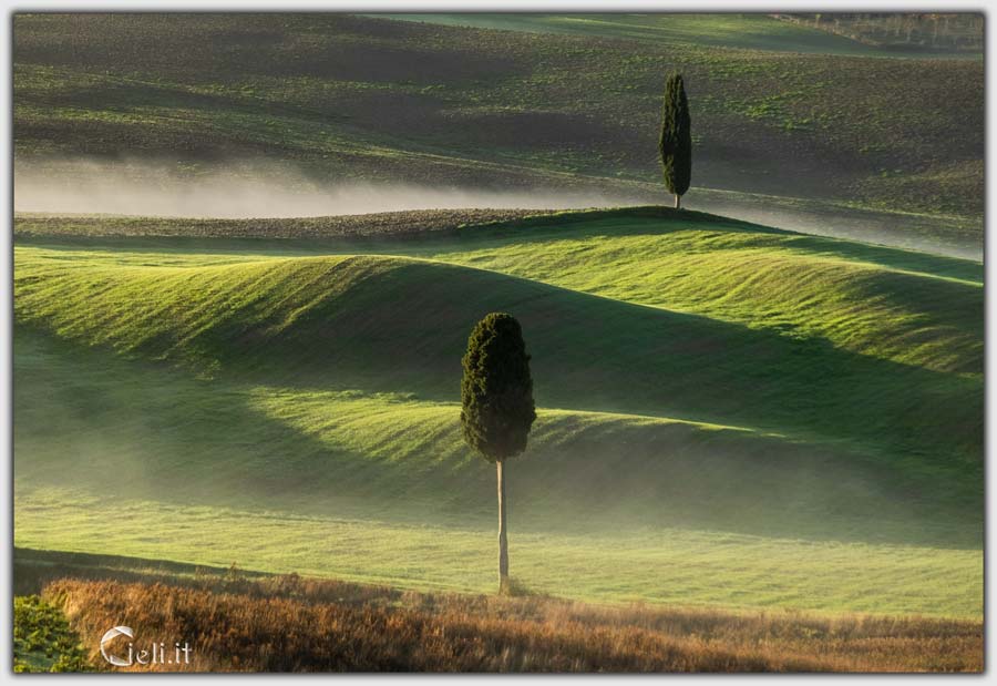 Mattino fresco con cipressi stagliati verso il cielo e paesaggio sorridente illuminato dal sole