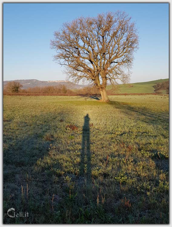 Mattina soleggiata con ombre degli alberi su colline, cielo azzurro immacolato